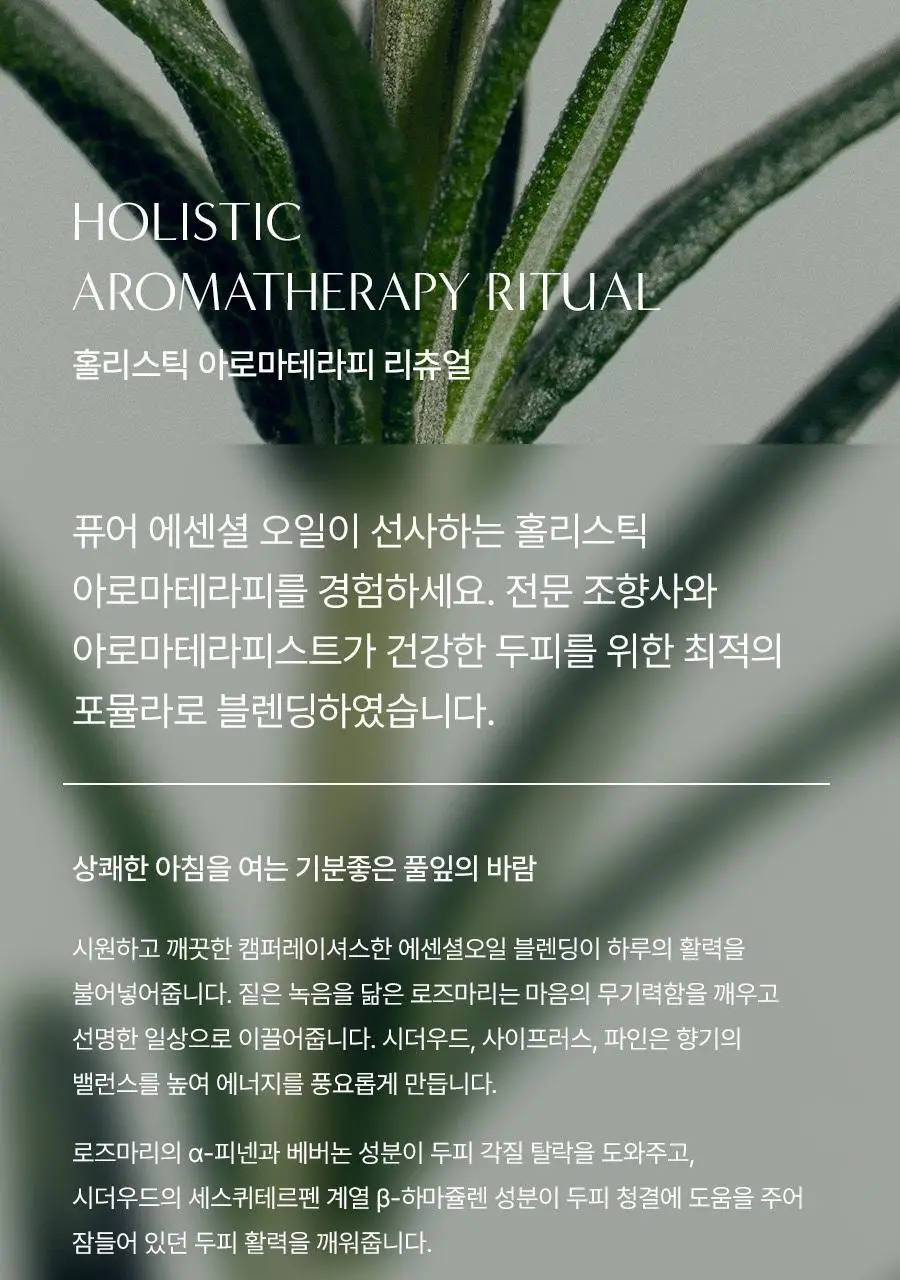 [탈모증상완화] 아로마티카 로즈마리 솔트 스크럽 샴푸 300g 기획(+로즈마리 컨디셔너 100ml) 상세페이지 16